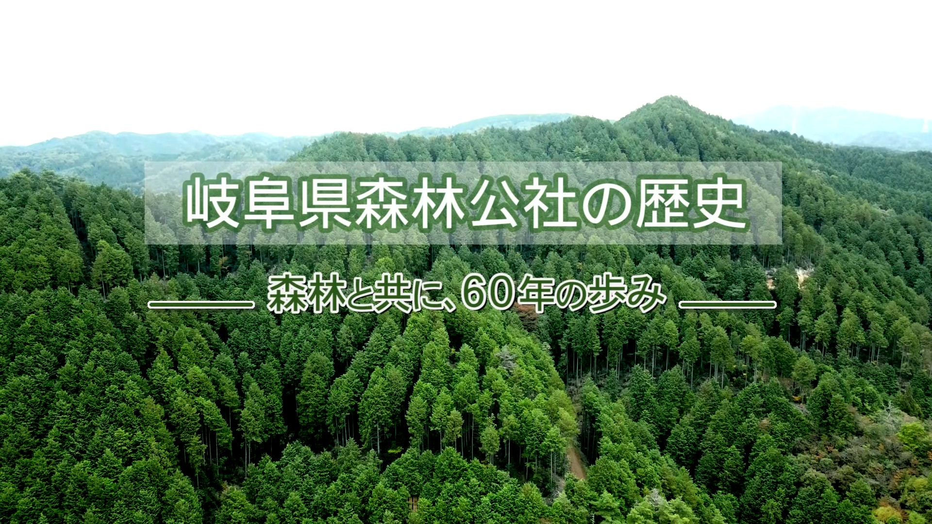 岐阜県森林公社の歴史